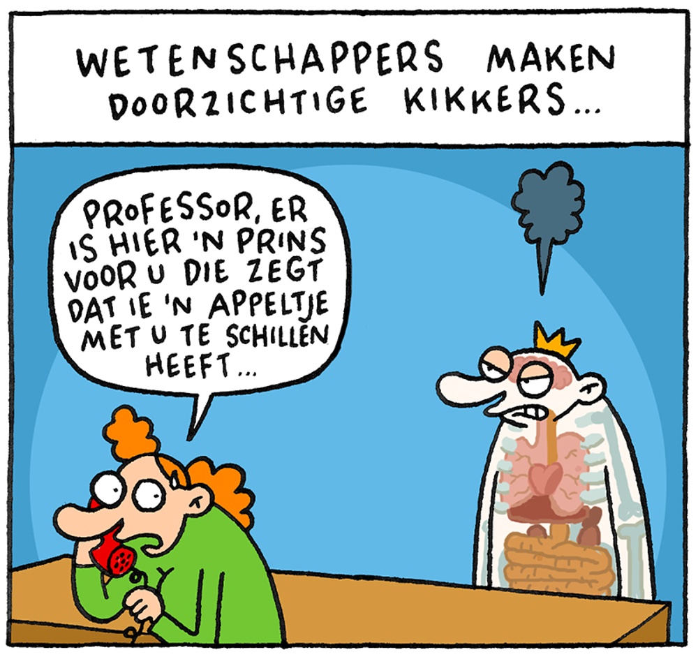 Doorzichtige kikker